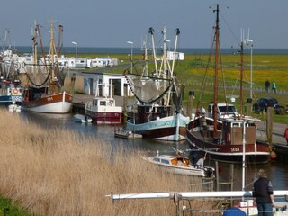 Kutter- Segelboothafen in Spieka-Neufeld