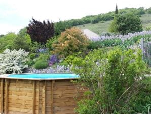 Holiday house Ruhiges Ferienhaus mit Pool - Saint-Jean-le-Centenier - image1