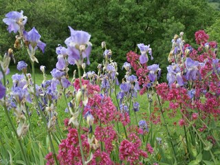 Casa per le vacanze Saint-Jean-le-Centenier Registrazione all'aperto 10