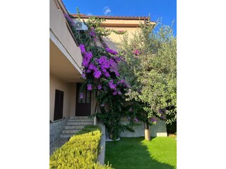 Appartement Kornić Buitenaudio-opname 8