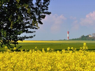 Ferienhaus Marienleuchte Außenaufnahme 20
