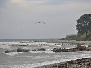 Ferienhaus Marienleuchte Außenaufnahme 22