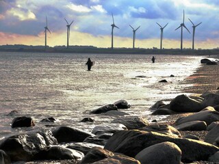 Ferienhaus Marienleuchte Außenaufnahme 23