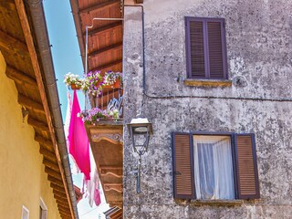 Holiday apartment Pino sulla Sponda del Lago Maggiore Environment 26