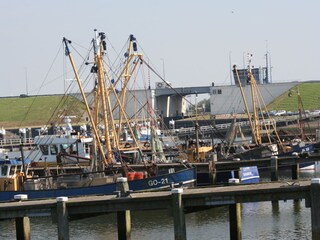 Casa per le vacanze Ouddorp Ambiente 33