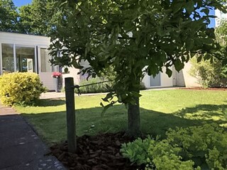 Vakantiehuis Ouddorp Buitenaudio-opname 5