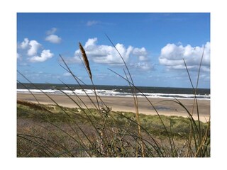 Casa per le vacanze Ouddorp Ambiente 20