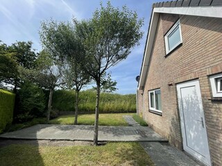 Casa de vacaciones Ouddorp Grabación al aire libre 3
