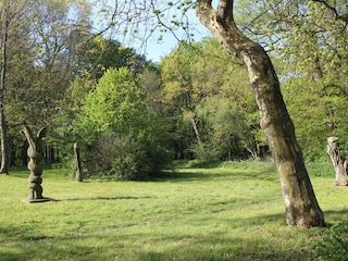 Holiday apartment Rerik Outdoor Recording 4