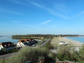 Holiday apartment Rerik Environment 18