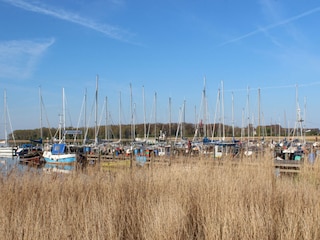 Holiday apartment Rerik Environment 17