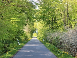 Holiday apartment Rerik Environment 19