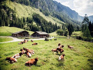 Chalet Neukirchen am Großvenediger Entorno 25