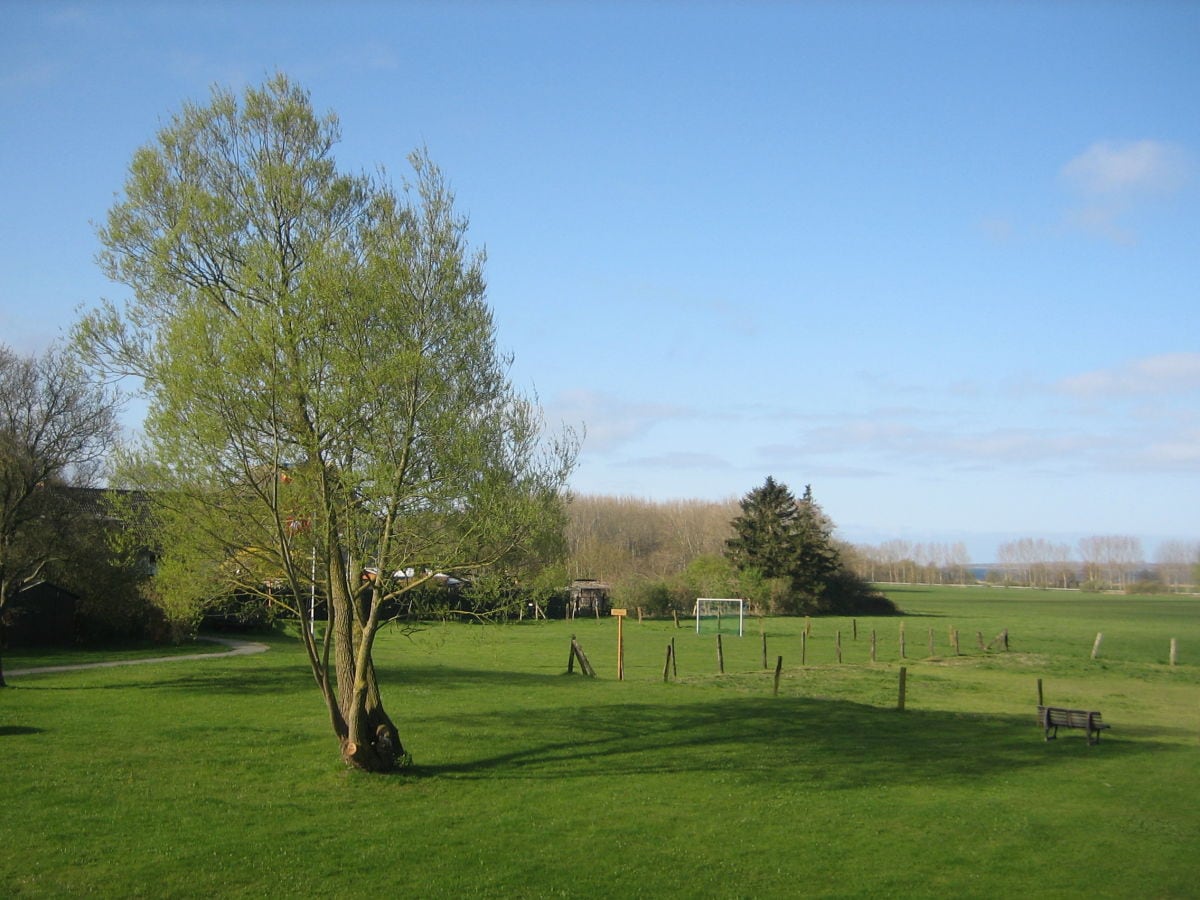 Blick von Ihrer Terrasse