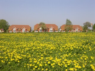 Holiday apartment Rerik Outdoor Recording 3