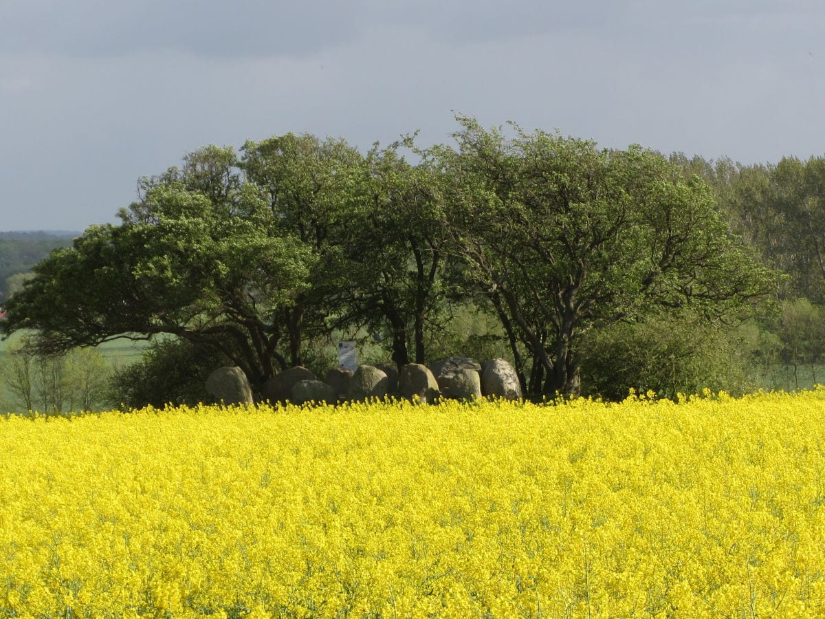 Frühling in Blengow (Großsteingräber)