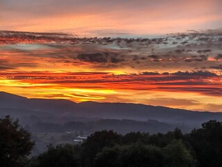 Type de propriété : Ferme Nogueira de Ramuin Environnement 25