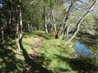 Type de propriété : Ferme Nogueira de Ramuin Environnement 26