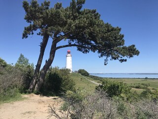 Leuchtturm Hiddensee