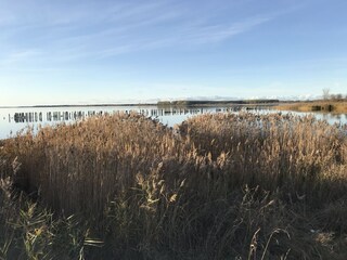 Jasmunder Bodden