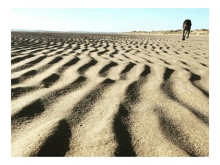 Chalet Bretteville-sur-Ay Ambiente 13