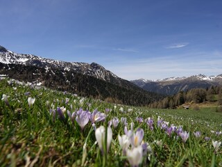 Appartamento per vacanze Gsies Registrazione all'aperto 8