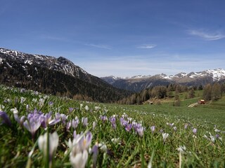 Appartamento per vacanze Gsies Ambiente 24