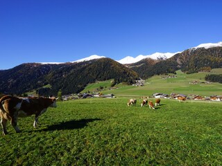 Appartamento per vacanze Gsies Ambiente 27