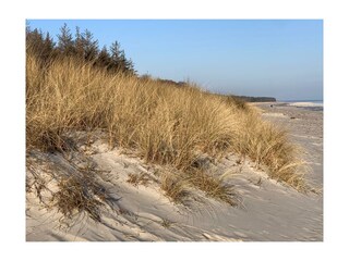 Dünen am Strand