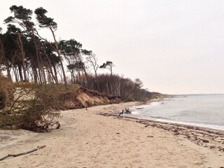 Apartamento de vacaciones Zingst Entorno 23