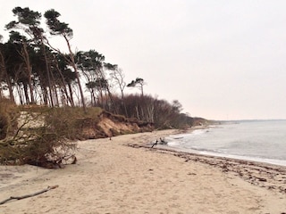 Vakantieappartement Zingst Omgeving 23