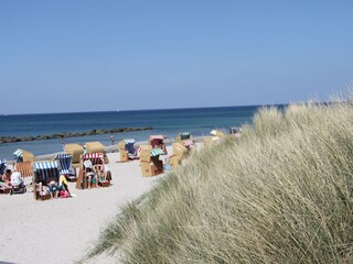 Appartamento per vacanze Zingst Ambiente 24