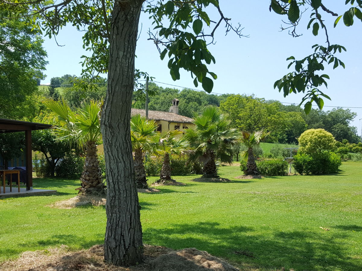 Großer Garten rund ums Haus