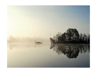 Morgenstimmung am See