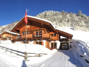 Chalet Brammetje