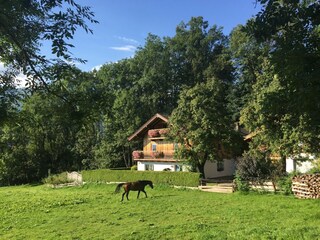 Apartamento Piesendorf Grabación al aire libre 6
