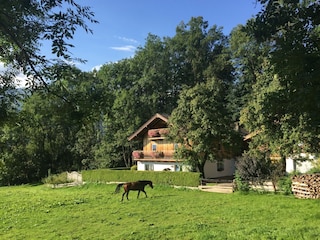 Appartement Piesendorf Enregistrement extérieur 6