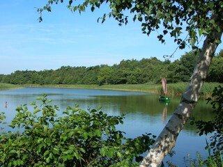 Maison de vacances Prerow Environnement 16