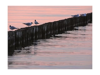 Abendstimmung