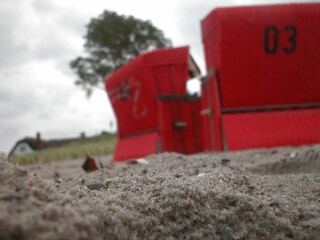 Ahrenshoop