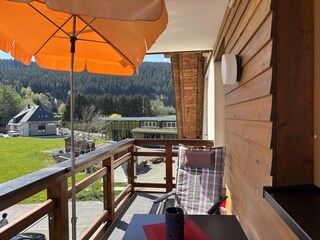 Ferienwohnung Titisee-Neustadt Außenaufnahme 12
