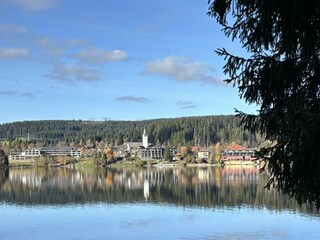 Blick auf Titisee-Ort