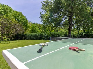 Villa Tinjan Registrazione all'aperto 7