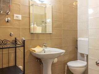 Villa Tinjan Caratteristiche 41