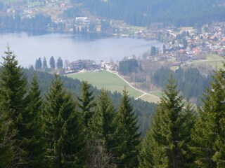 Blick vom Hochfirst auf Titisee