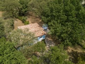 Adorable maison de vacances avec piscine - Vinézac - image1