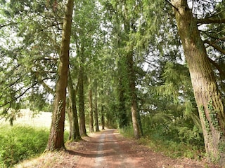 Vakantiehuis Issy-l'Eveque Omgeving 31