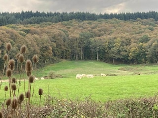 Maison de vacances Issy-l'Eveque Environnement 22