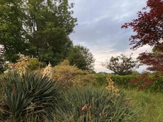 Casa per le vacanze Issy-l'Eveque Ambiente 29