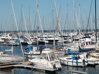 Apartment Wittenbeck Umgebung 30